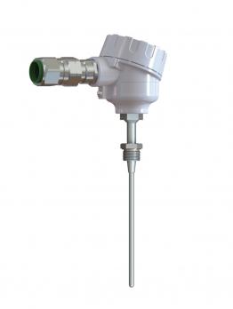 1-43n Model - schema